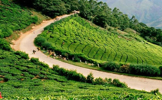 kerala hill station tour package