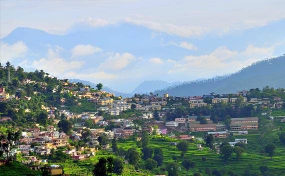 almora tour