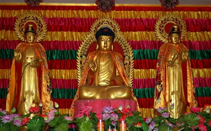 taj mahal and buddhist tour