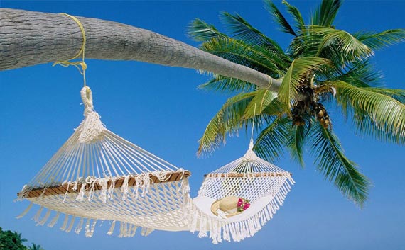 holiday tour kerala India